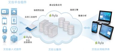 網絡技術開發 動點科技的前沿探索與實踐